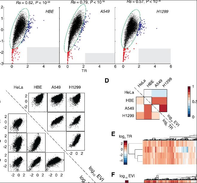 张弓研究组在《PLOS Genetics》发表翻译组学突破性文章